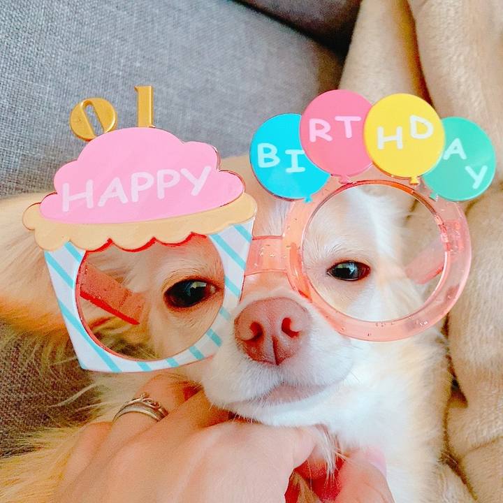 6a667e26 71f4 4b16 98cc 3e6259db53eb 1623289375633