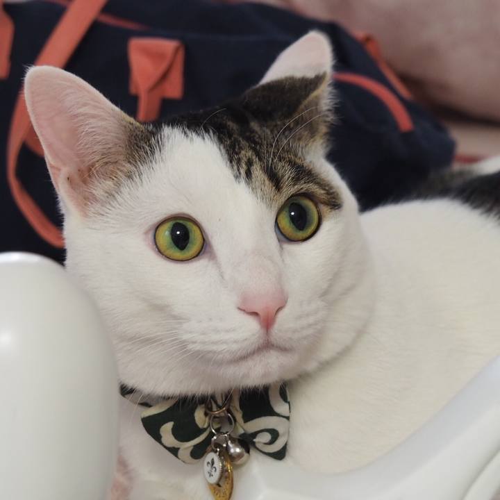 6a66bfe3 40dc 4982 b301 a132c02ccac9 1516503736709