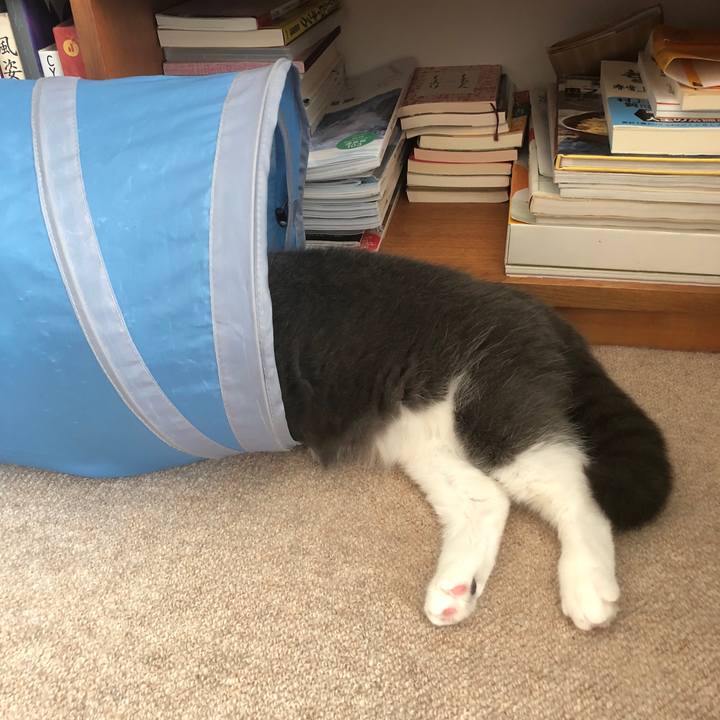 6a66cbea 8c47 4176 aa9a 8749c03133d9 1521464692905