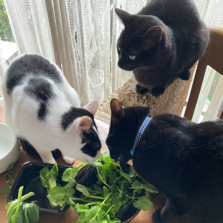 6a66ec08 9e89 47e5 abf4 2d785481f513 1666680709318