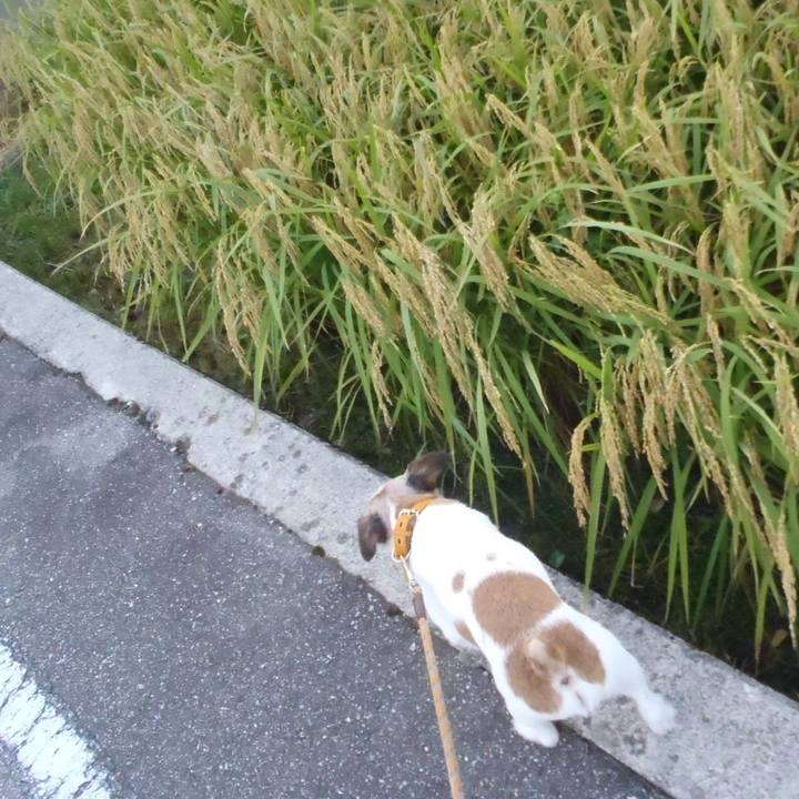 6a6740f2 142a 4141 8e11 d4251f6b7d92 1536488939719