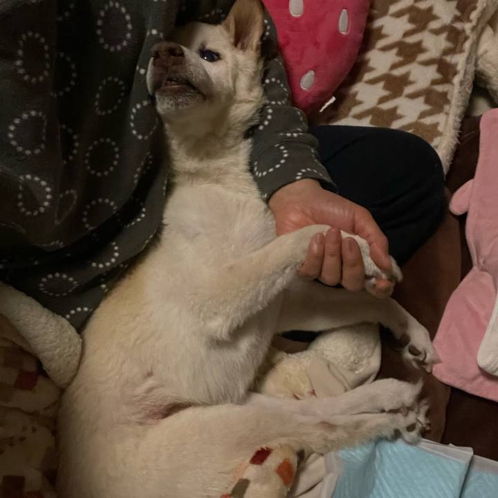 6a674137 ac92 4c12 9061 e4a853a23d2b 1677087946938