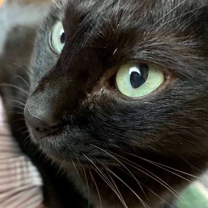 6a6758d4 11eb 442c 9fdc 415f9f2c151a 1598670082913