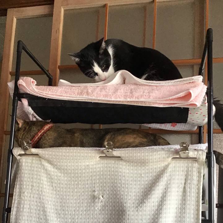 6a6775c2 89e8 4a8e 9762 433bbcca6ada 1633943094395