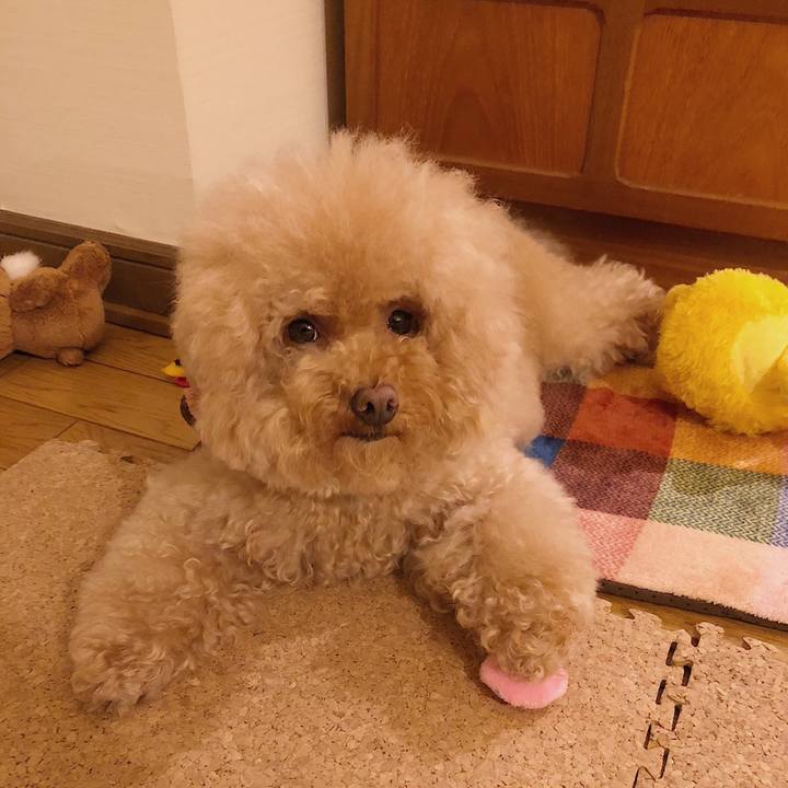 6a679a61 e1cb 42b9 8b40 143bc379f0cb 1531227557048