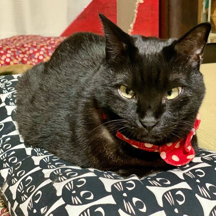 6a67ba27 698c 4a07 849c 4840af223e49 1675171793506