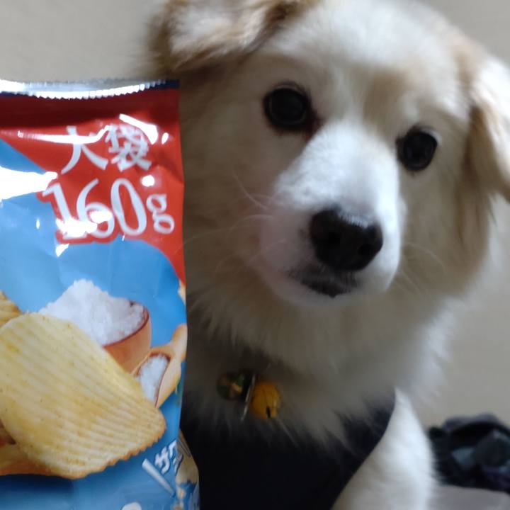 6a67d9c0 914d 4677 9b21 259904a68b02 1644413685969