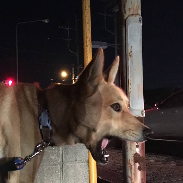 6a67f198 4dcf 40a8 8a7b cbfc3debdc9b 1514988303106