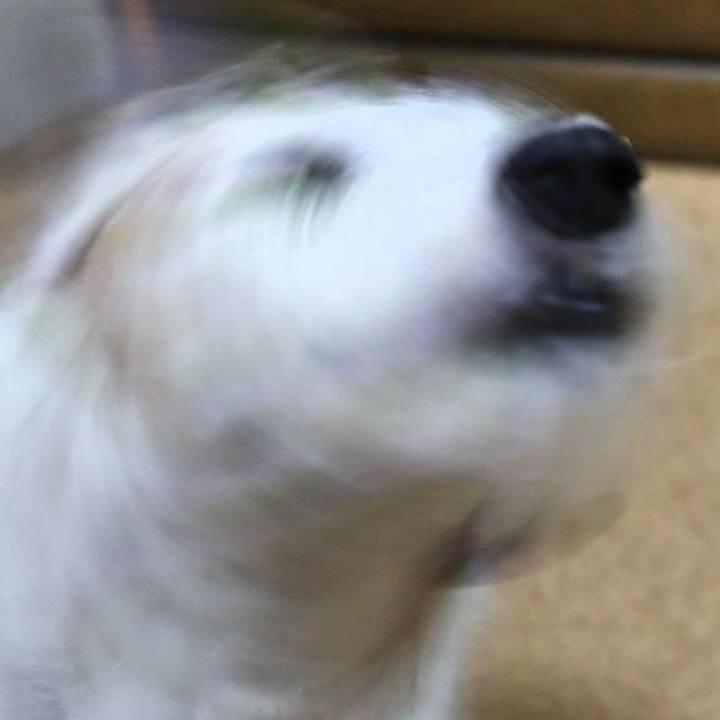 6a6824e2 91a6 4805 859b e70849e85f5b 1525564915593