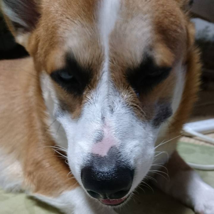 6a68321f 4312 4513 ba0a f7cfdad10491 1570273136745