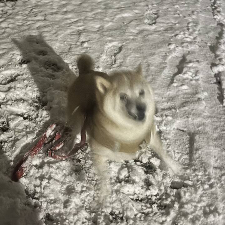 6a6866c8 9fe7 4b60 9f2c 40d8fdb1526d 1741124719049