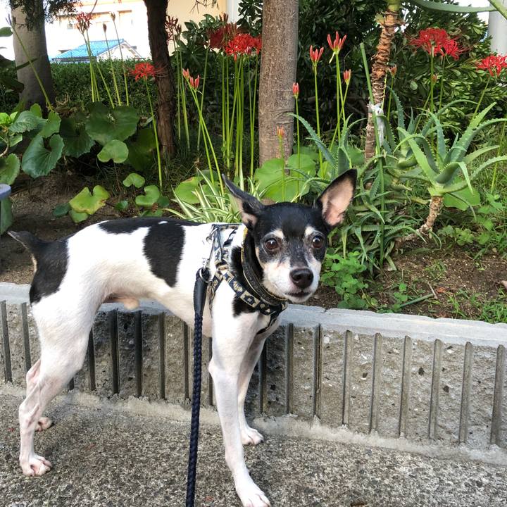 6a686f86 4450 471b 9f51 d35be974fcf5 1537223799123