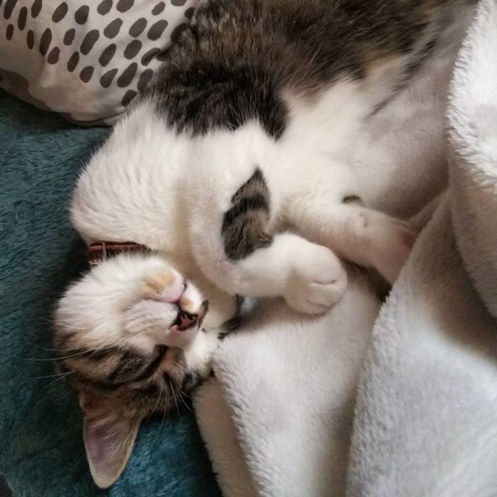 6a6878ae d163 4ec1 bc90 9bfb3187a4ed 1617501306128