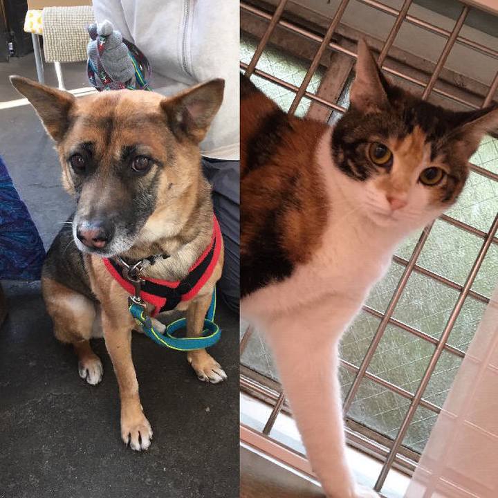 6a68fb36 152a 42fb aa0d 6d507d380aea 1547549872261