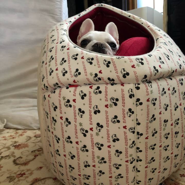 6a690352 919b 4c17 bb17 13516639f29e 1570935522721