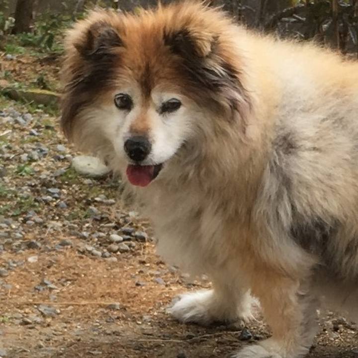 6a691c05 b24b 477f a976 e587def6d4c6 1607811564761