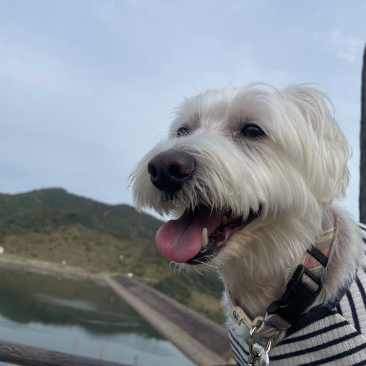 6a6922de 0bb0 4d22 a573 39e4d8ac15a6 1731295884946