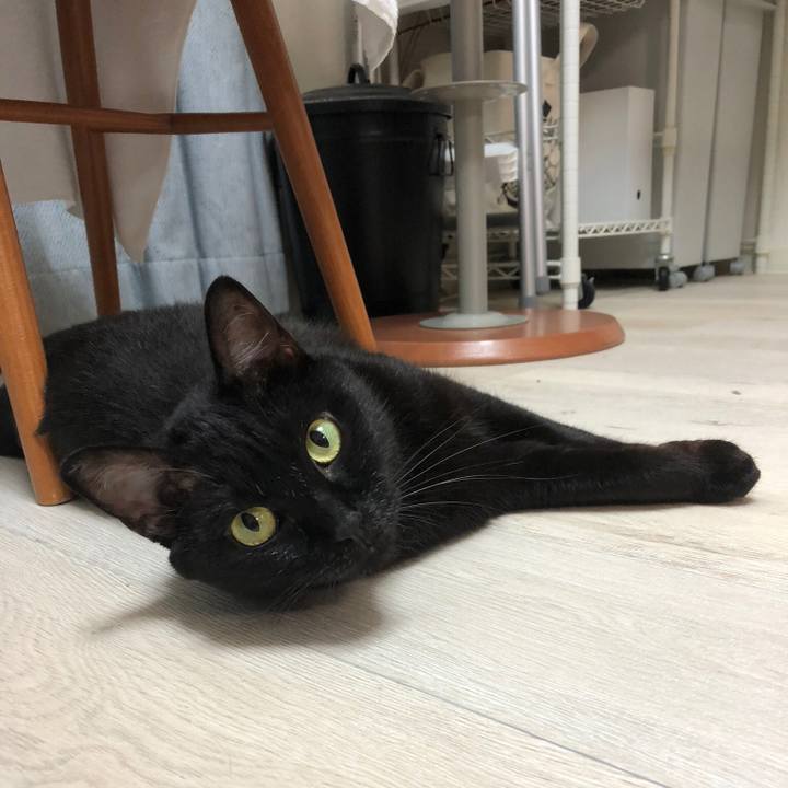 6a6930a3 b8fa 4555 98e2 c84bed3f8458 1508503887006