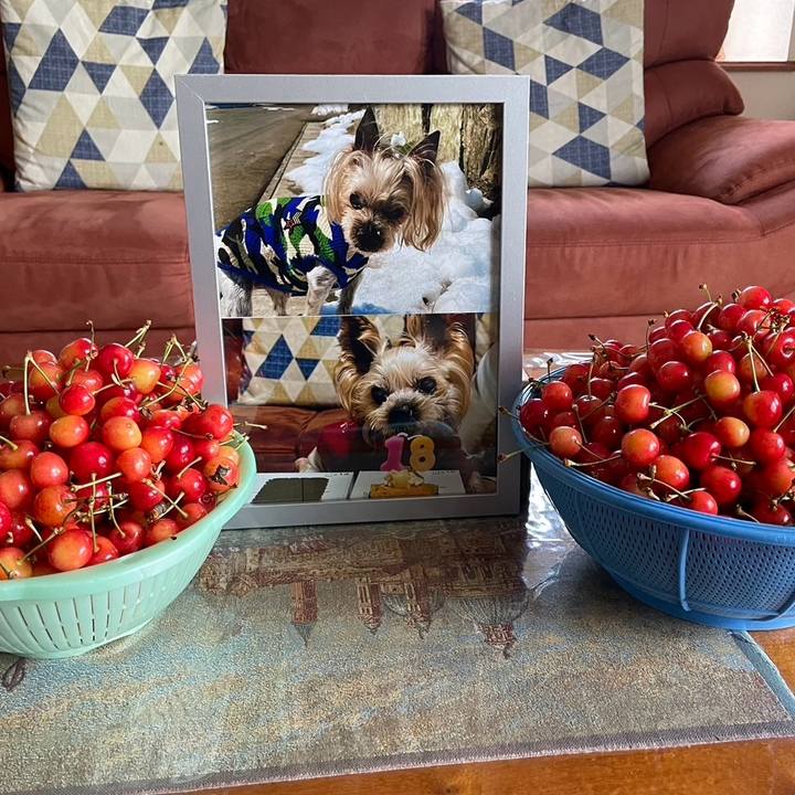 6a69339b cd47 4f1c 802d 8c713648ca24 1718787637508