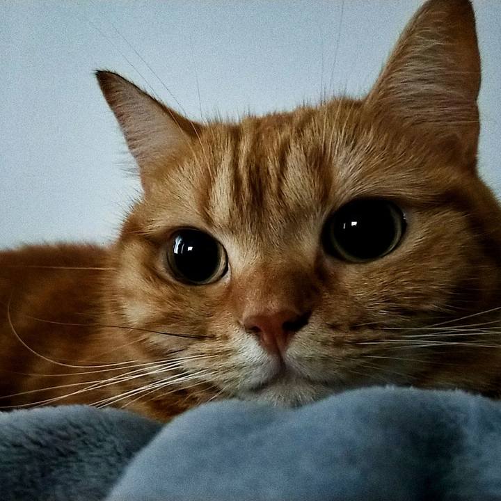 6a6933ef 2b88 4cd6 b73b 1089f6628bfd 1602293753068