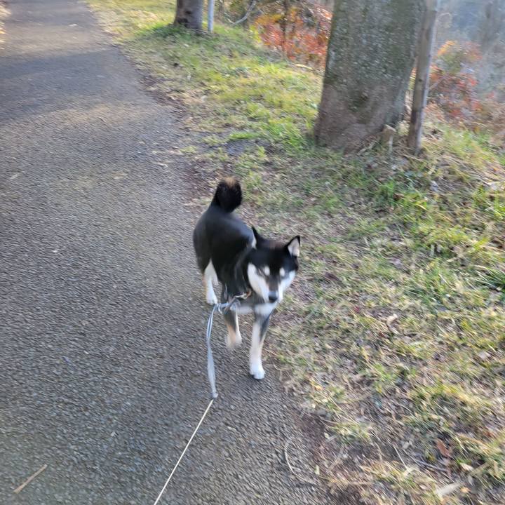 6a693d17 36b2 4d7d ace3 83b9e8e12804 1769392389199