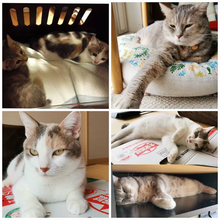 6a6973ce d753 4591 a168 2fdcaec12c2f 1628851078805