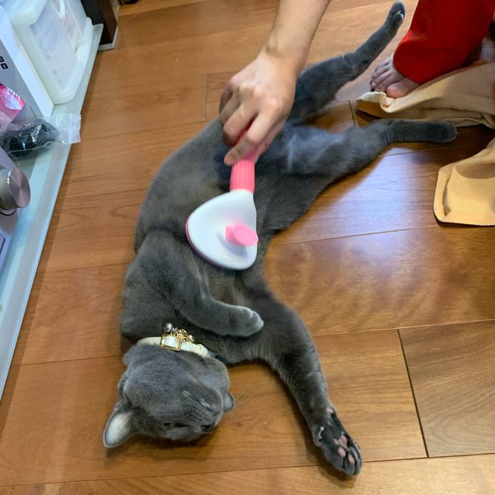 6a697813 52b9 4a90 a620 2e3db1f22197 1654760244862