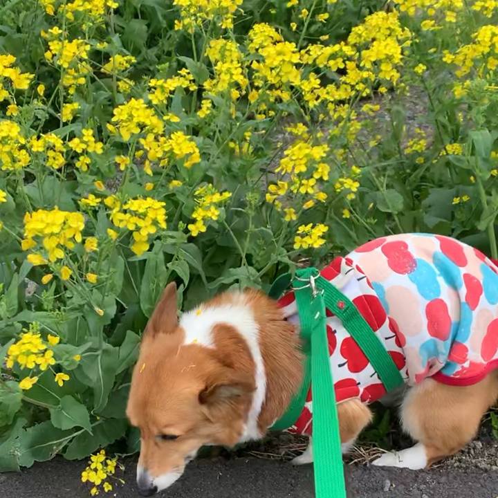 6a69afbd 86a5 4cf1 89b3 4b9da4eb17cb 1617077624123