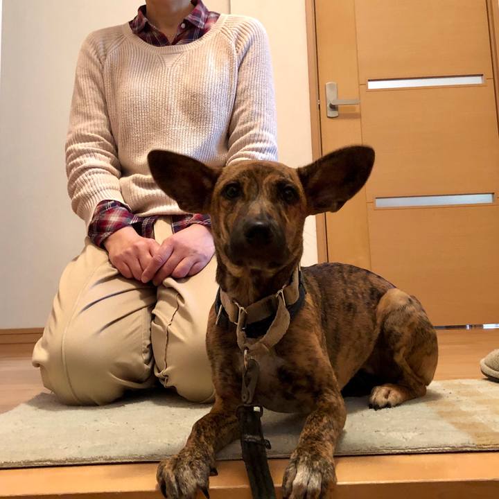 6a69e092 799d 4b8f b53d 9d6a4b7c79da 1574497065865