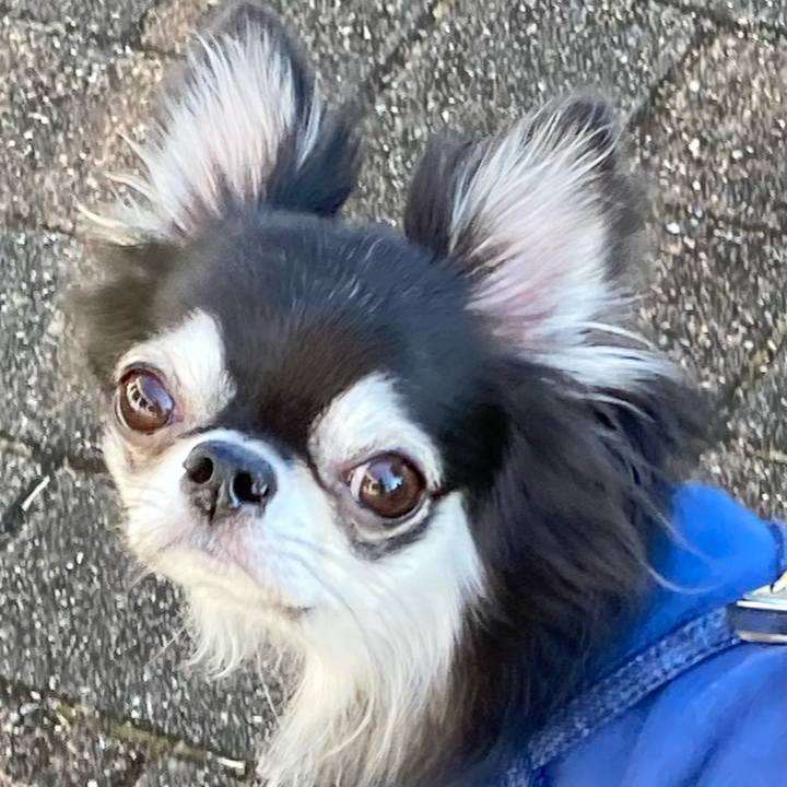 6a6a9970 7e29 4fe2 bf6e bfadd8fb2176 1667714029126