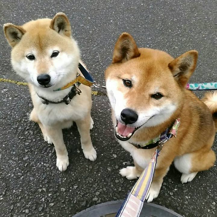 6a6ab5e8 7e0b 4ea3 a36b 0b8acfcc9b4e 1559116326708