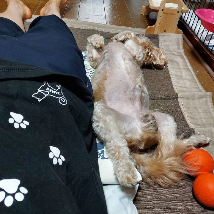 6a6abb92 b914 473c 8c46 b85600f18056 1631246325751