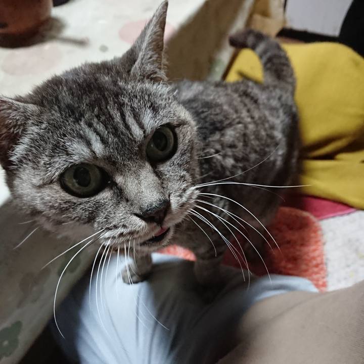 6a6abc53 5a0b 4ff2 8648 e42b624ca288 1572735255957