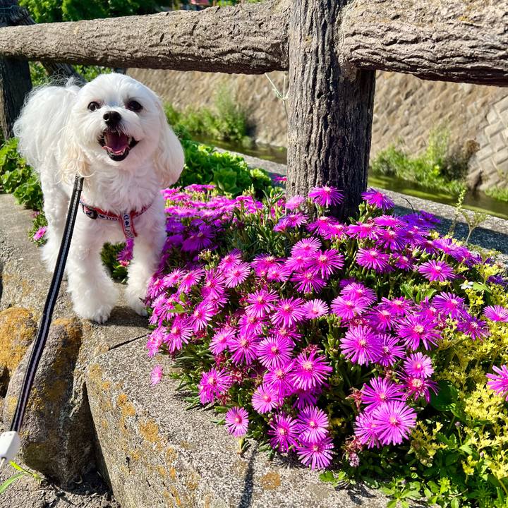 6a6ac904 f646 4151 a578 ecec8eb0cab0 1656577609525