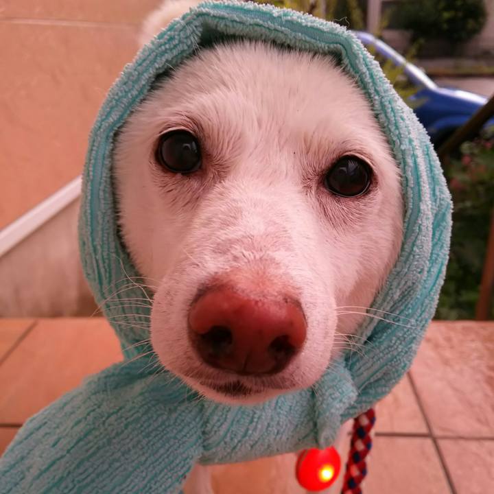 6a6ae0fa c2f1 4dd8 b81d 19e8e6bd4e1d 1601195884342