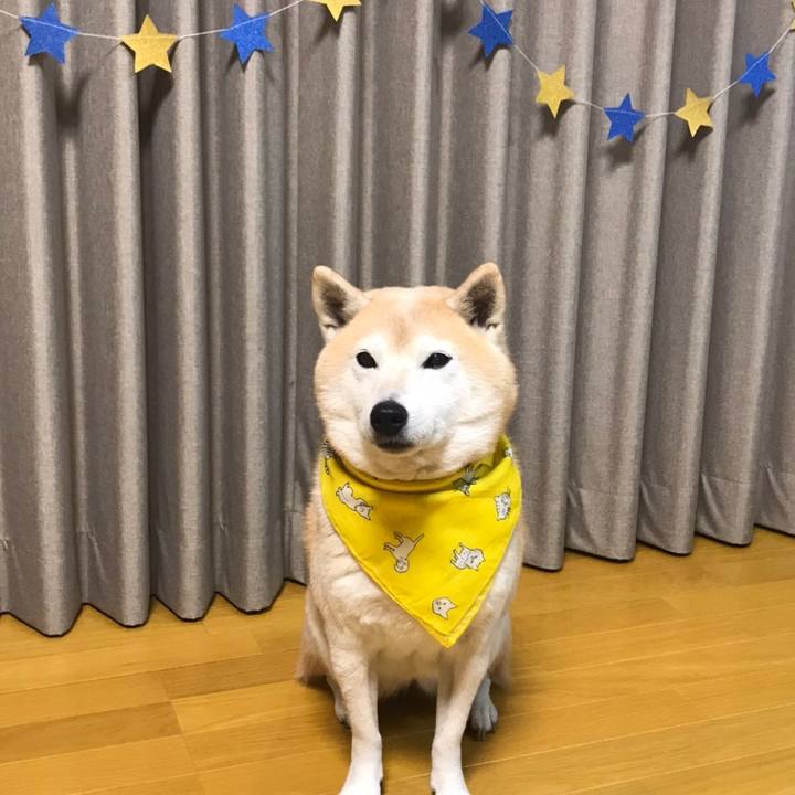 6a6af873 ac00 4184 a89a 10b72d68b072 1576762267587