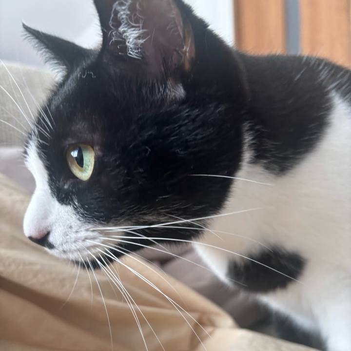 6a6b10dd 0737 4e77 ad62 49cf8eadb9a1 1767663500178