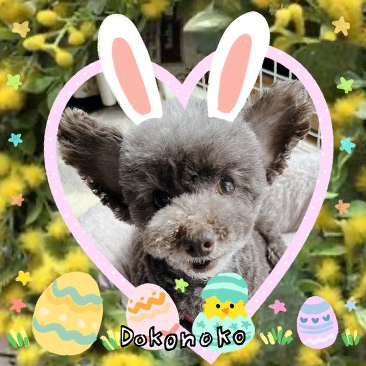 6a6b3900 85cf 4927 917e 3f6885f22bad 1712233958460