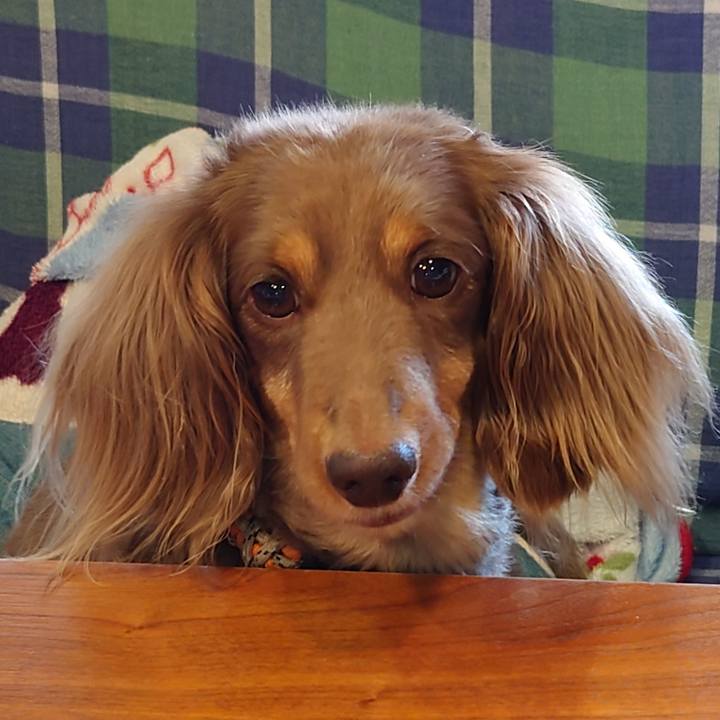 6a6b49f5 08a7 40d0 8de1 8aac16dde1cd 1688031593549