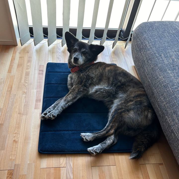 6a6b7323 8126 4300 969c 6a7fbab70395 1717019728630