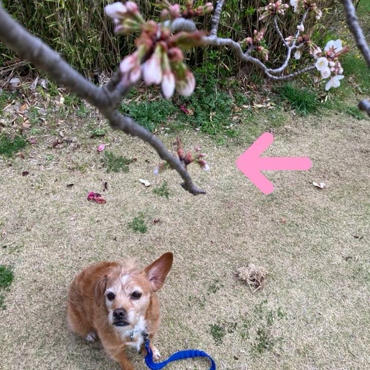 6a6b7fba 452f 4d13 85de 1a28cabc51ed 1711882709367