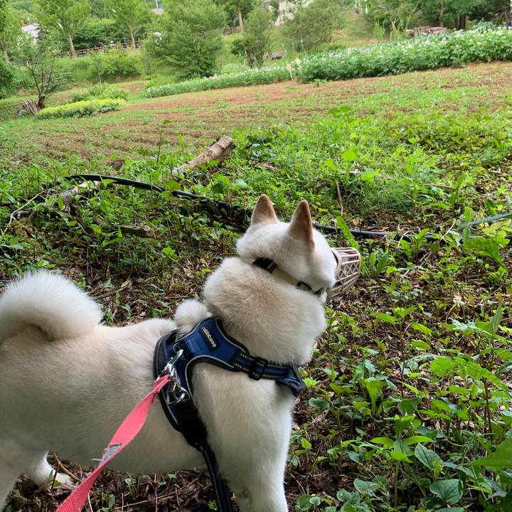 6a6bdcb3 d6fd 4a6e b45f ebb76cede916 1625432767731