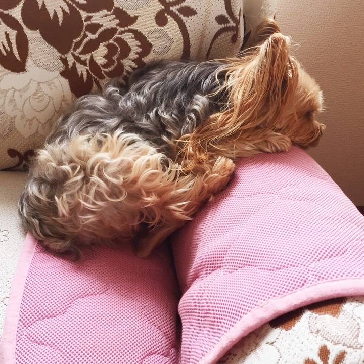 6a6bec3c a563 4a2e b959 ba459333f5fb 1533892106070