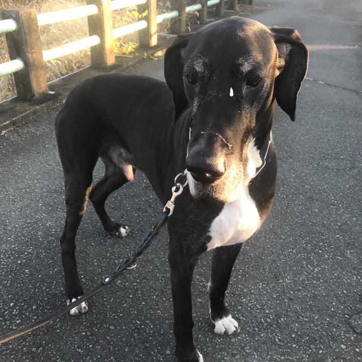 6a6c0209 d8c1 4bd6 9967 a451c8ff5f6e 1514002373170