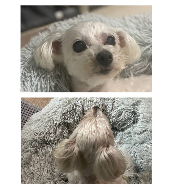 6a6c3fdd ab23 4e5f b95b f46737cba9c5 1742648996224