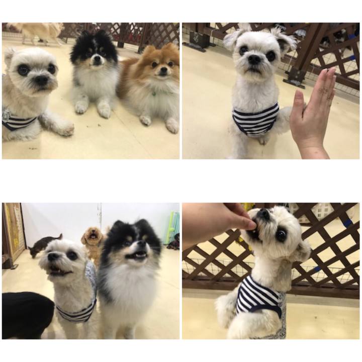 6a6cc80a 1f78 49b5 a463 7273716dc4a7 1542710324914