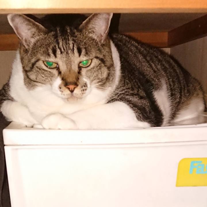 6a6cdd62 3e1d 4b5a bb91 3e709d6e8057 1537229142442