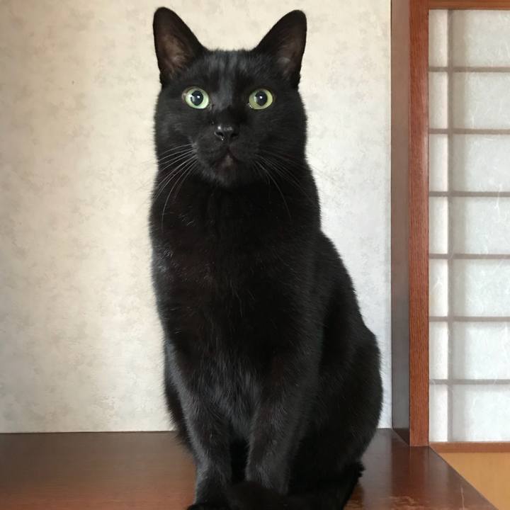 6a6ced7f a752 4bce bcd8 c1cb6c711551 1513733769344