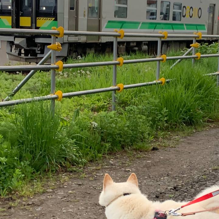 6a6d0dbd 1b67 4f1d 9b82 b4ce88403e0e 1590179792572