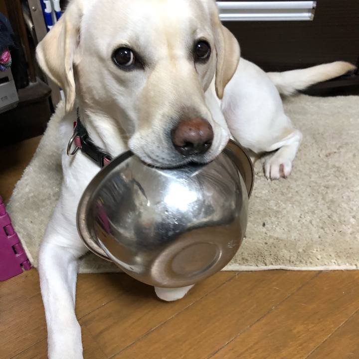 6a6d128e c2c7 4425 9995 dc4ba23b8932 1576184166812